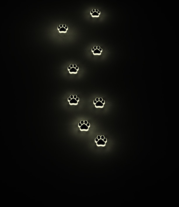 Landscape lamp，Cat claw，Directing Light，