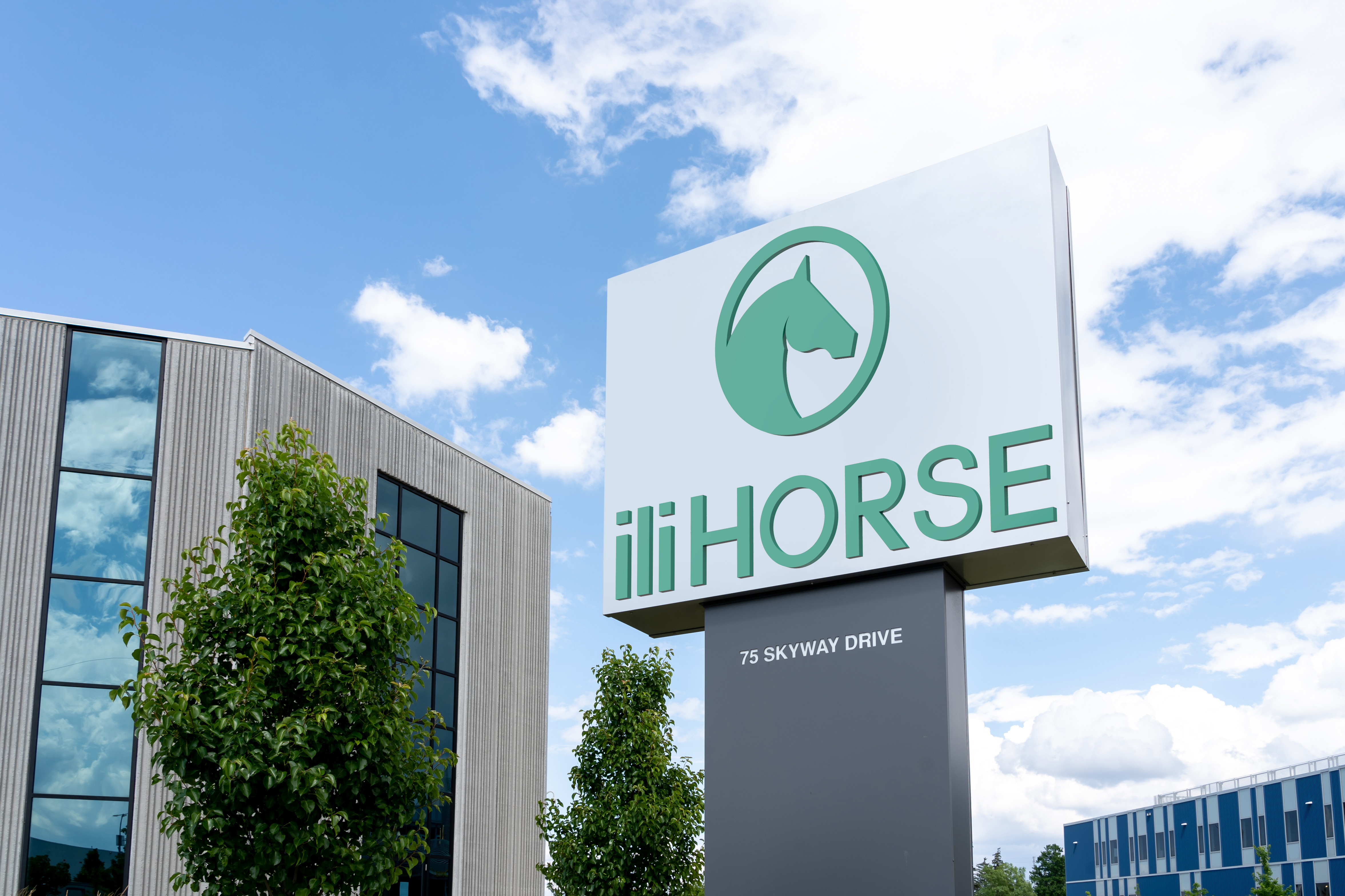 Light hammer design，