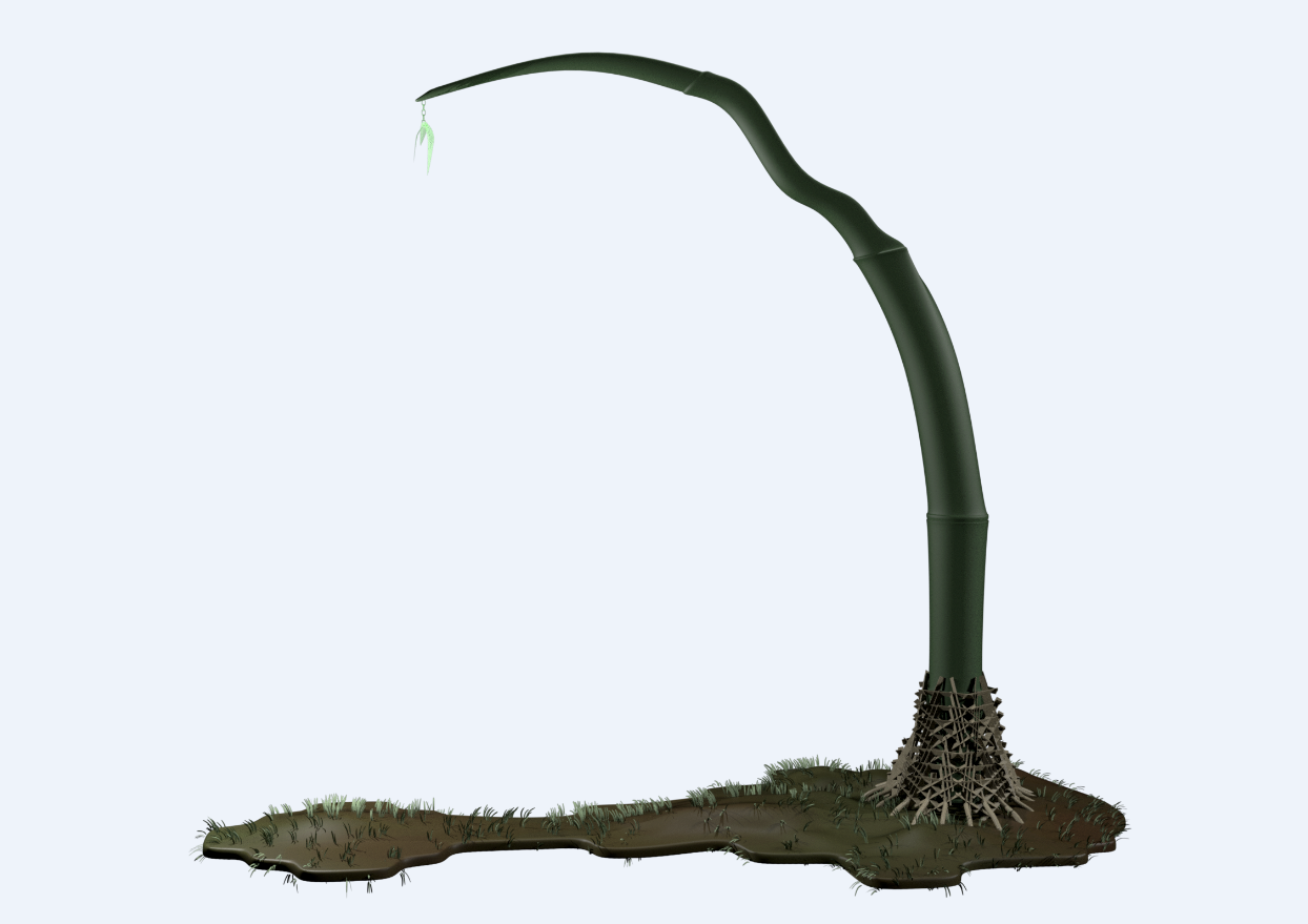 practice，time，sofa，Render，Bamboo pen，