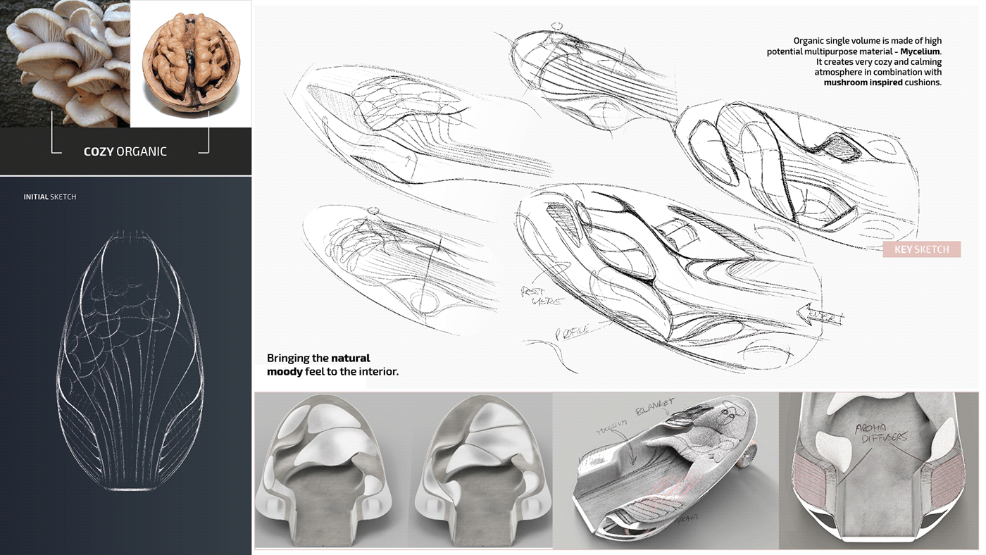 WELLNESS FUNGI，automobile，Automatic driving，