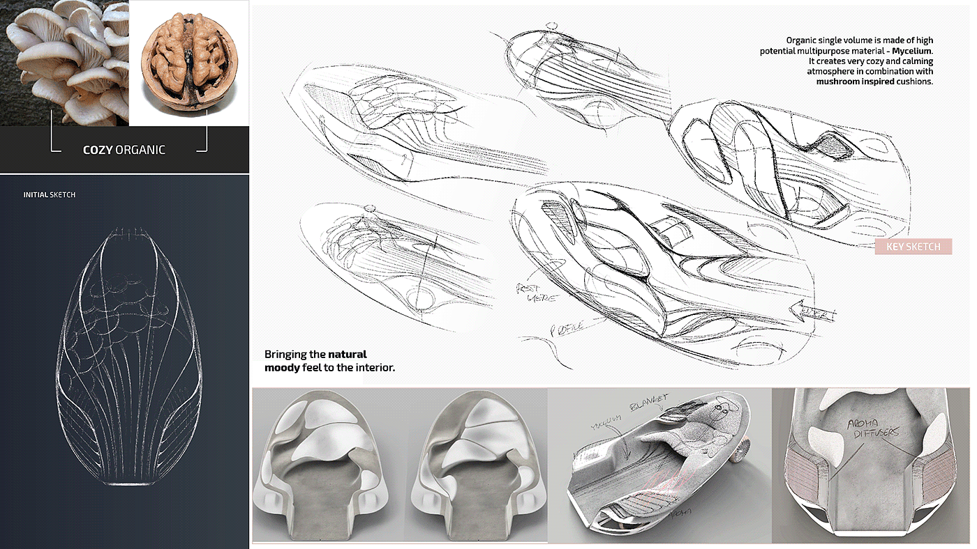 WELLNESS FUNGI，automobile，Automatic driving，