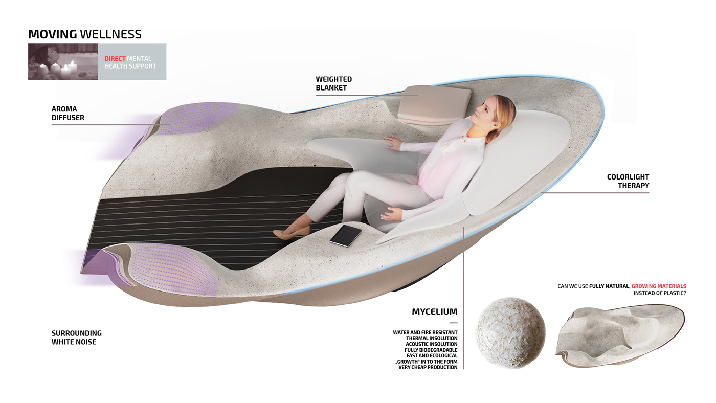 WELLNESS FUNGI，automobile，Automatic driving，