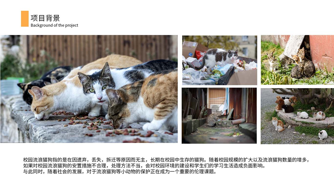 sample reels，industrial design，A stray cat，vase，Sign language translation，Sanitation workers，