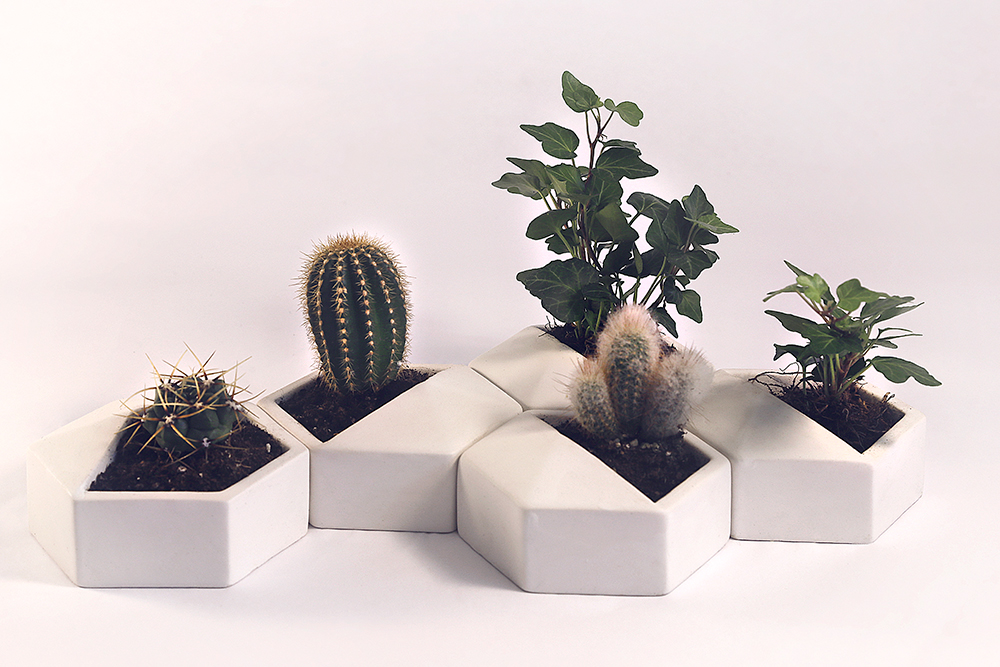 product design，ornament，Tabletop decoration，originality，