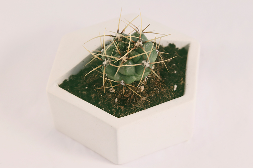 product design，ornament，Tabletop decoration，originality，