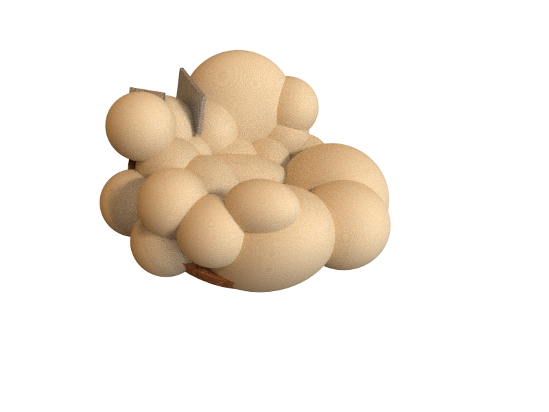 Shanghai Normal University，