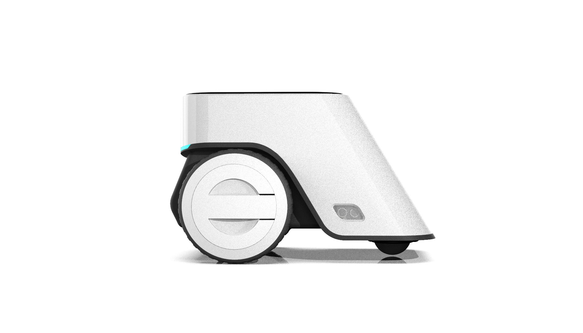 Shanghai University of Technology，