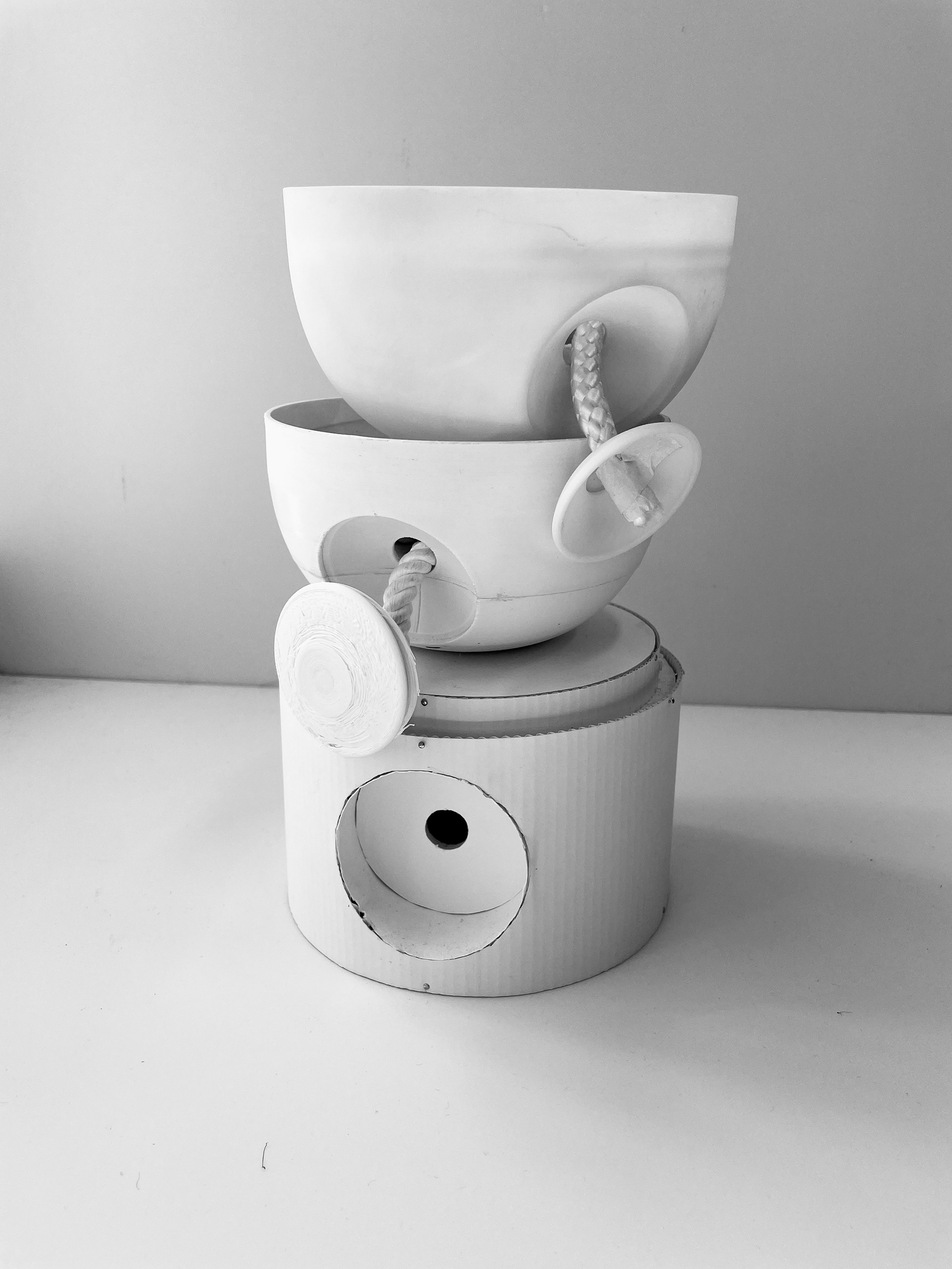 Pets，game，remote control，