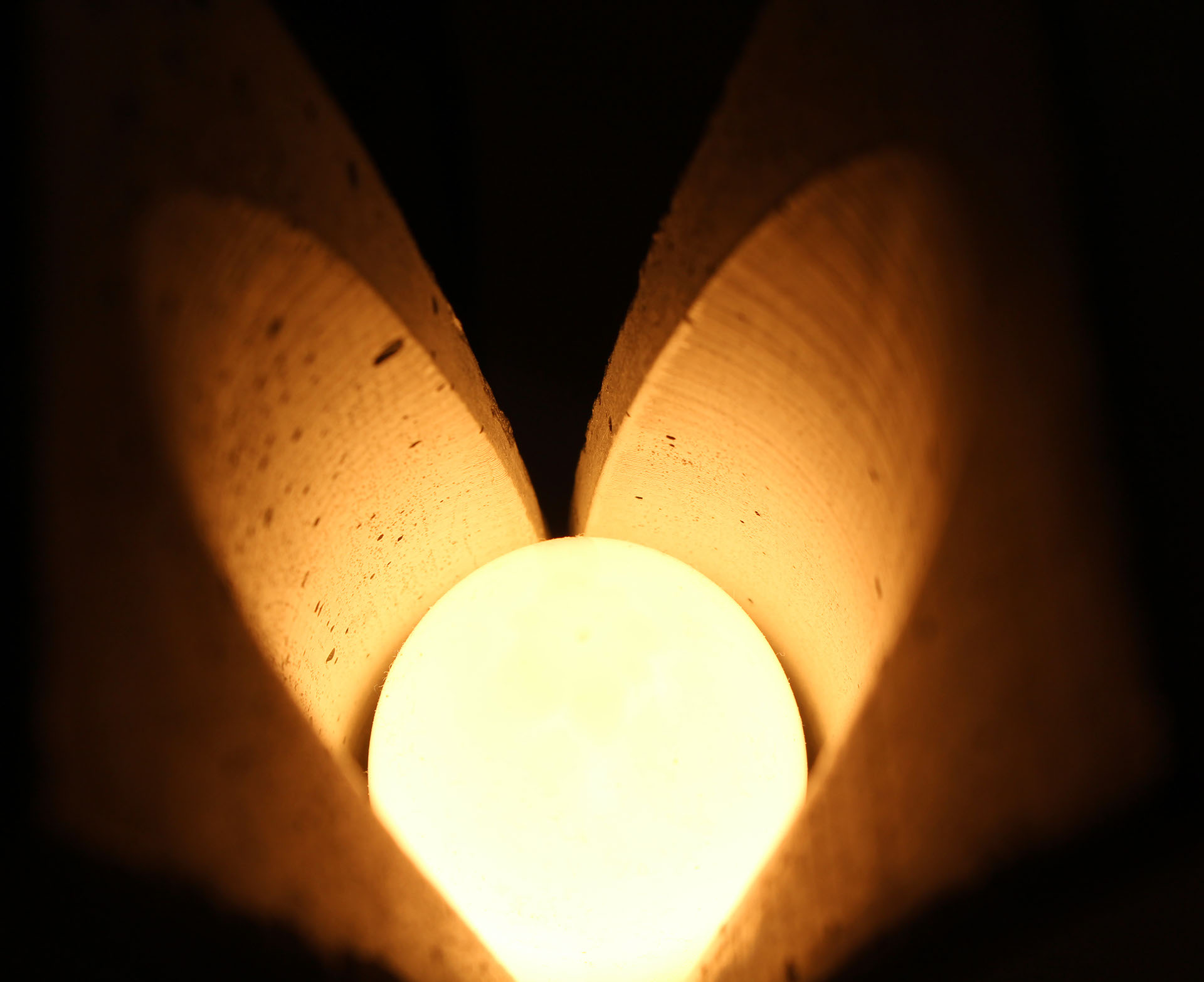 RELEASE，desk lamp，Luce，division，