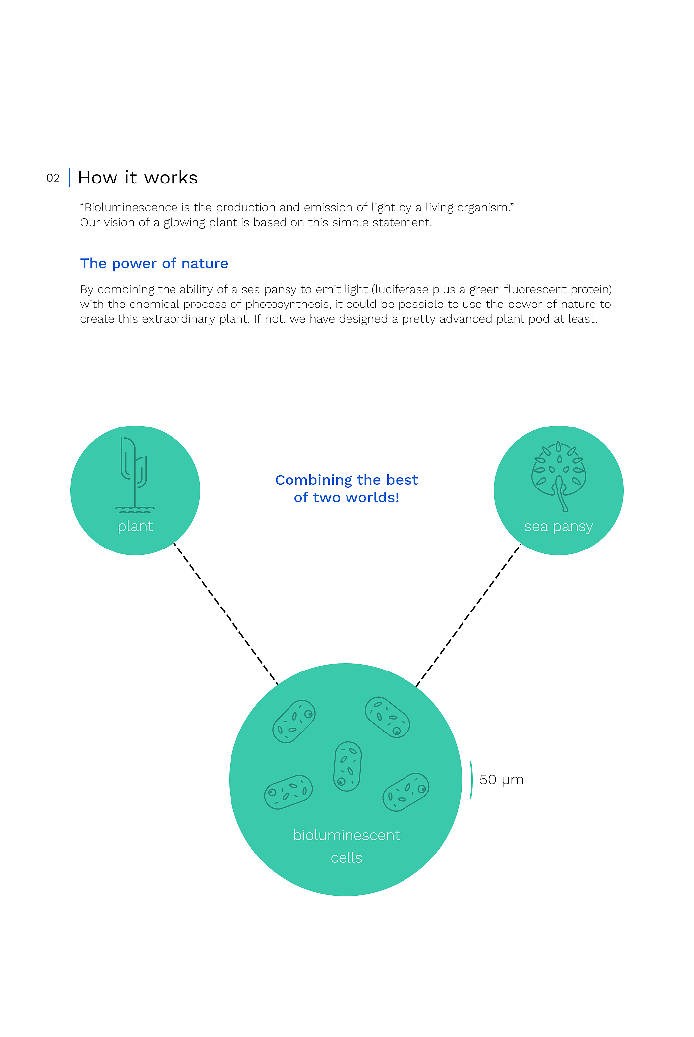 LUME，植物灯，产品设计，工业设计，