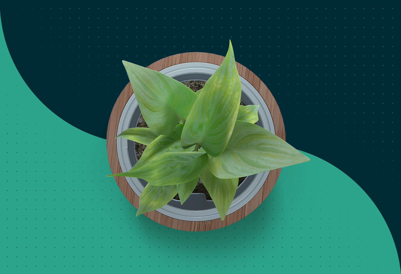 LUME，Plant lamp，product design，industrial design，