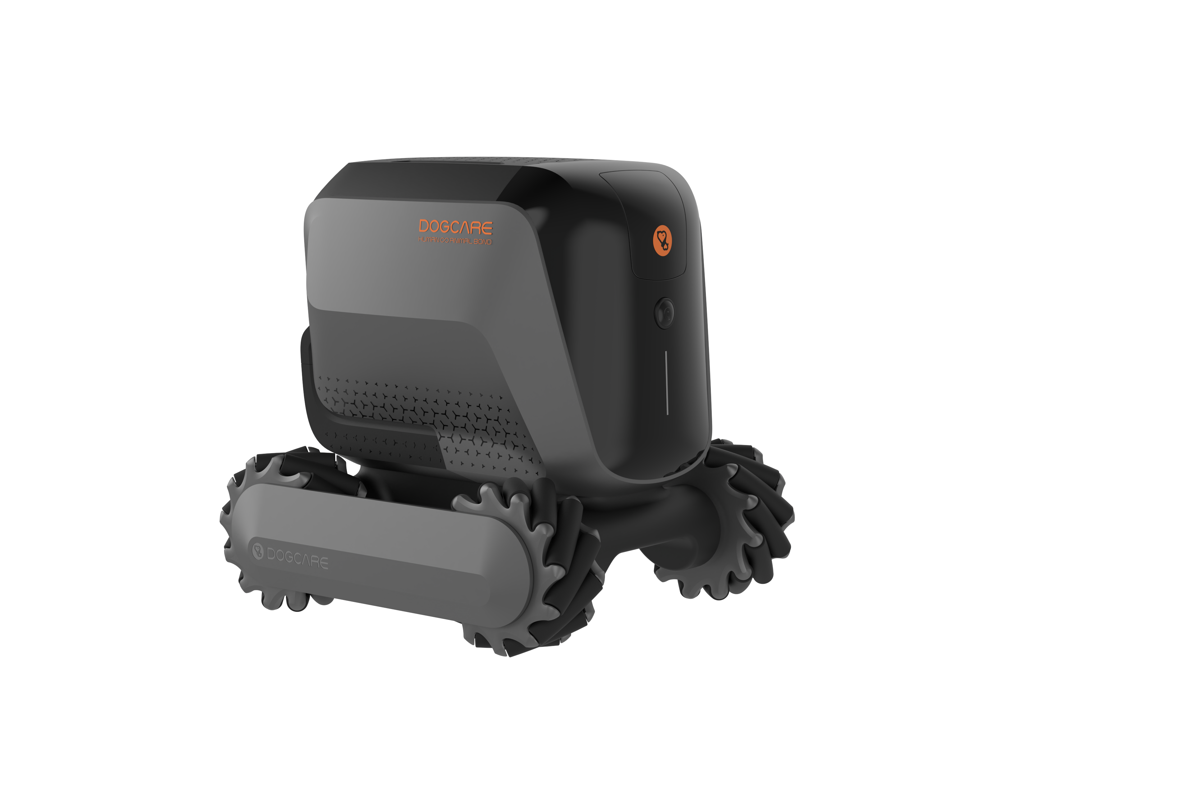 Intelligent, Interactive, Pet Snacks, Cigger，