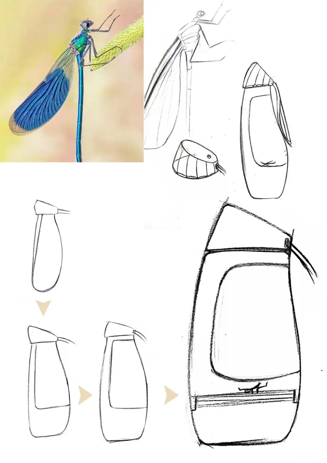 Water cup，bionics，