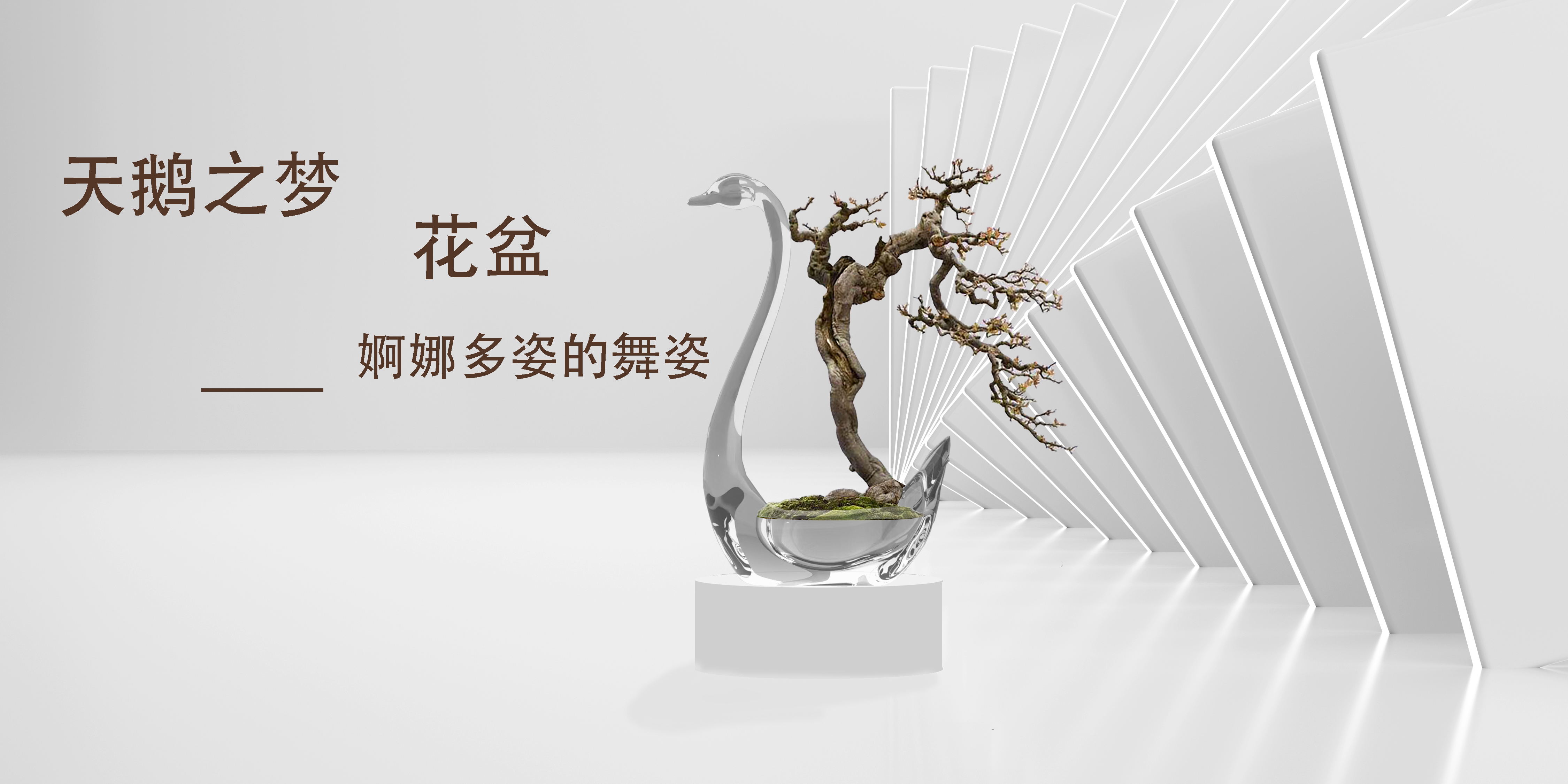 Classes assignment，