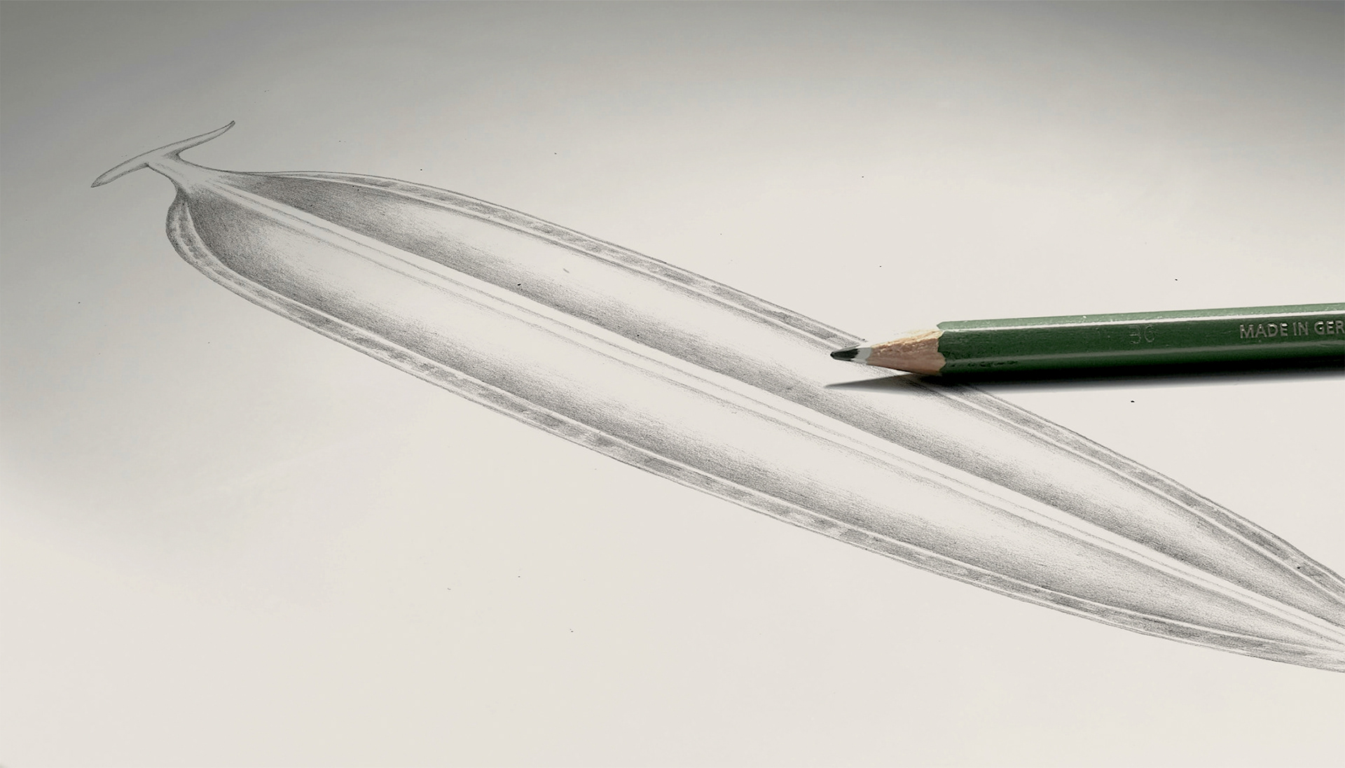 58 and Co，Alcohol，Sensory experience，Design，