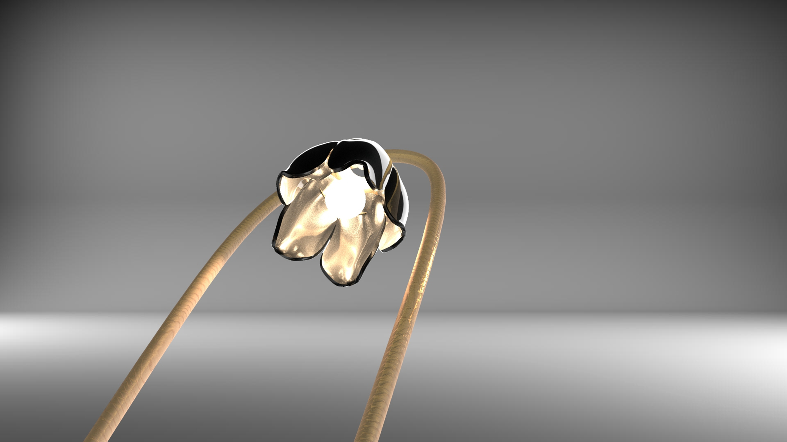 Shanghai Jianqiao College，