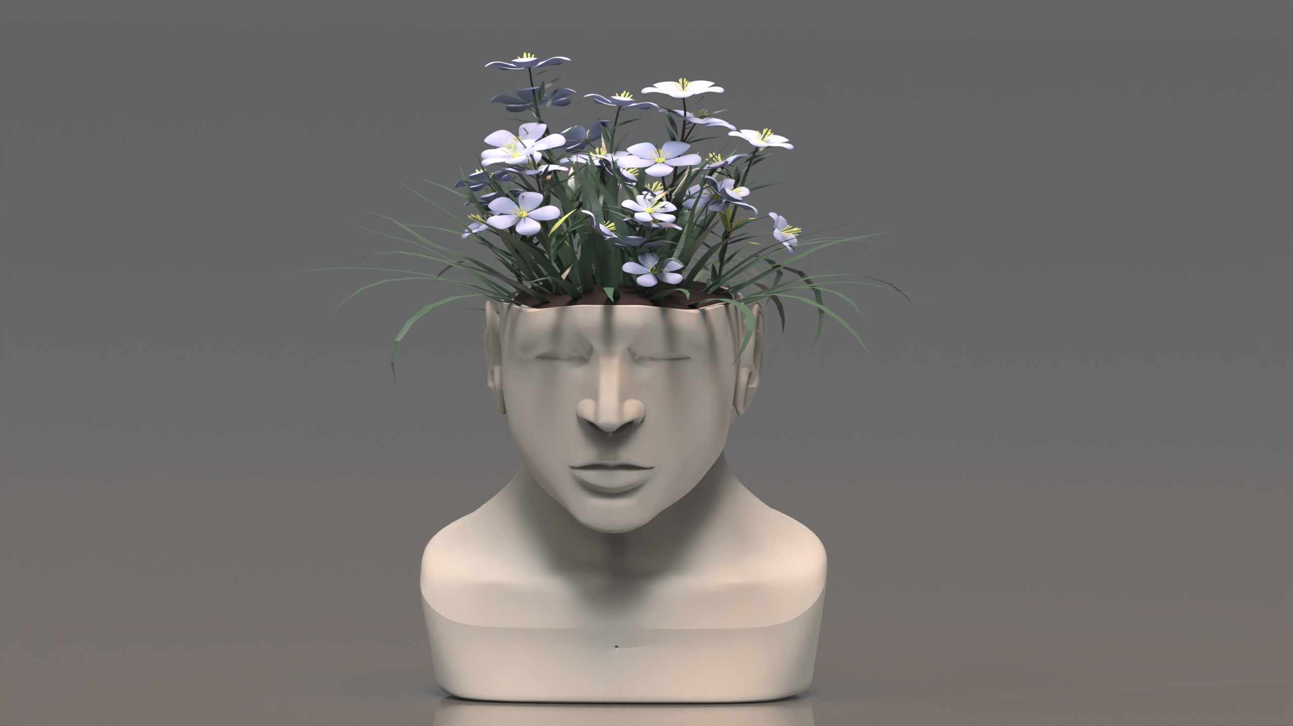 product design，Emotional design，Flowerpot，