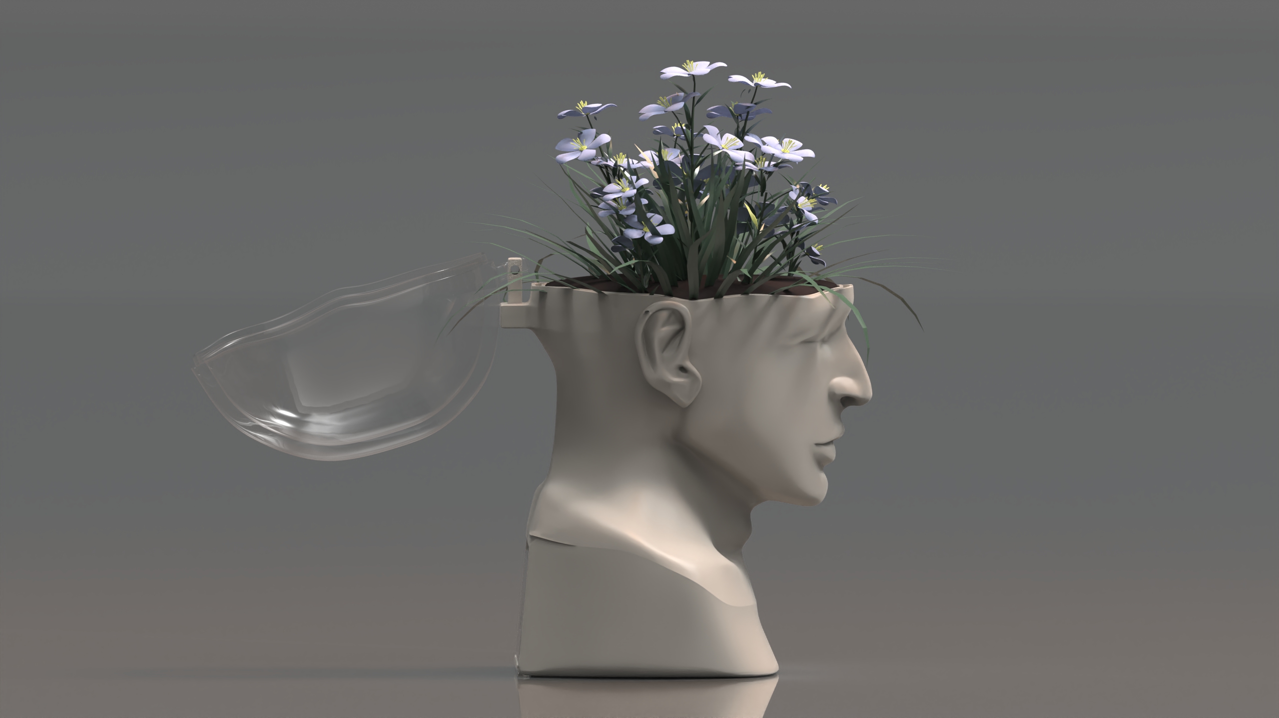 product design，Emotional design，Flowerpot，