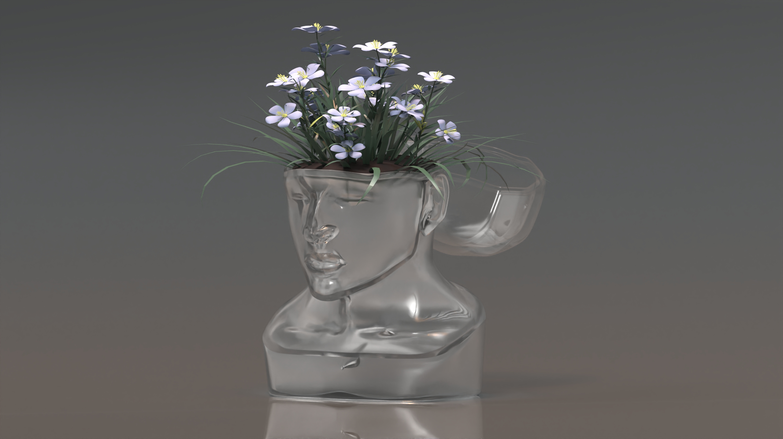 product design，Emotional design，Flowerpot，