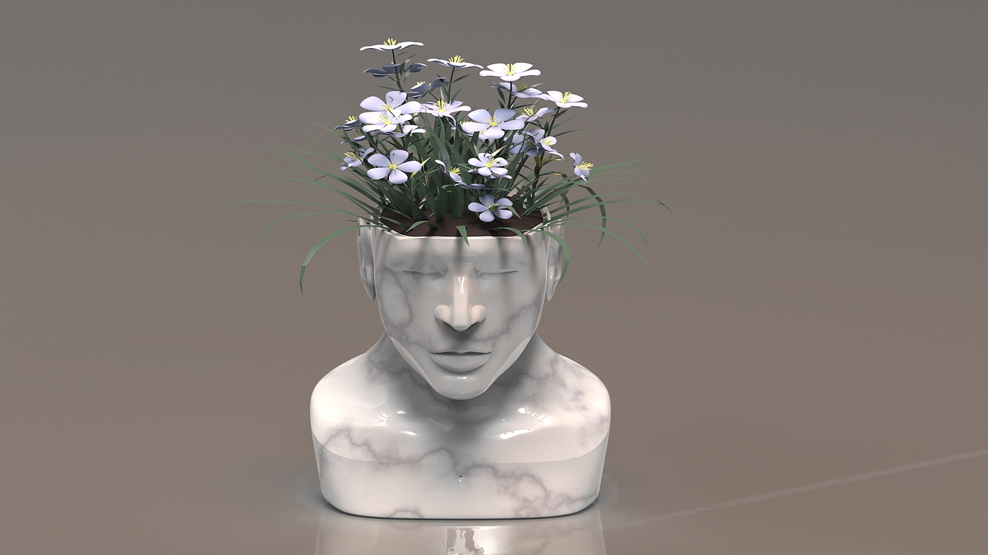 product design，Emotional design，Flowerpot，