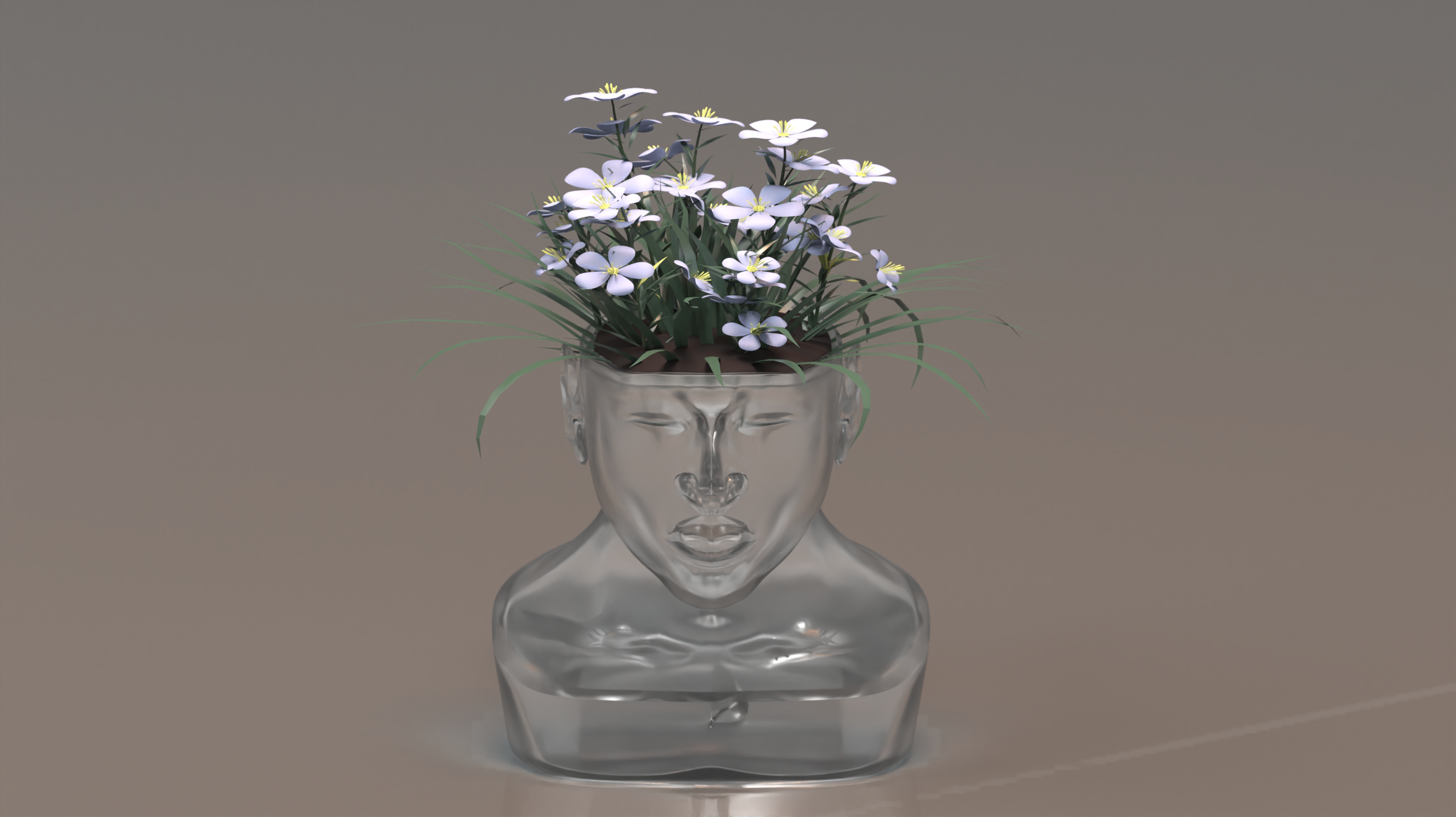 product design，Emotional design，Flowerpot，