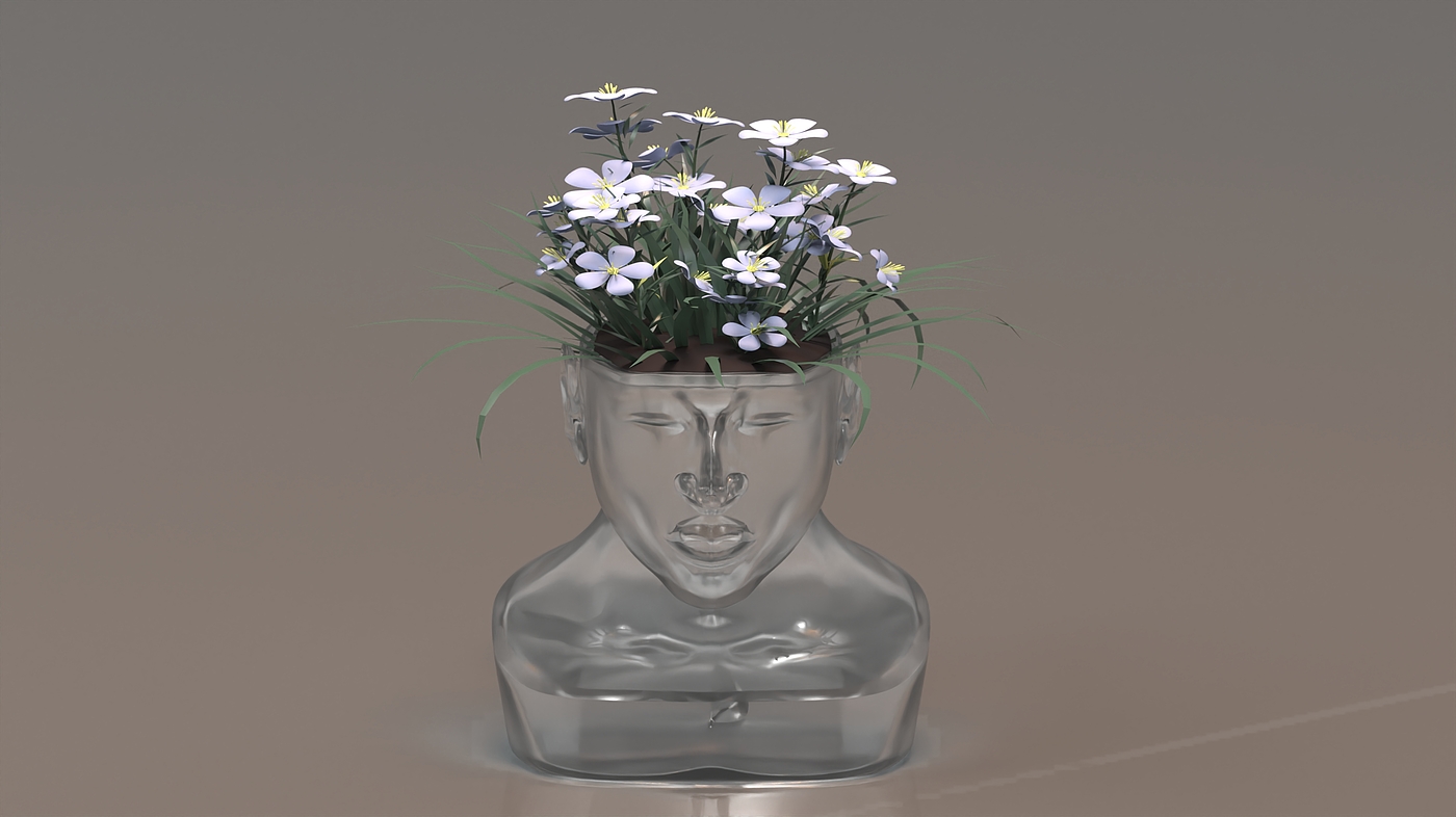 product design，Emotional design，Flowerpot，