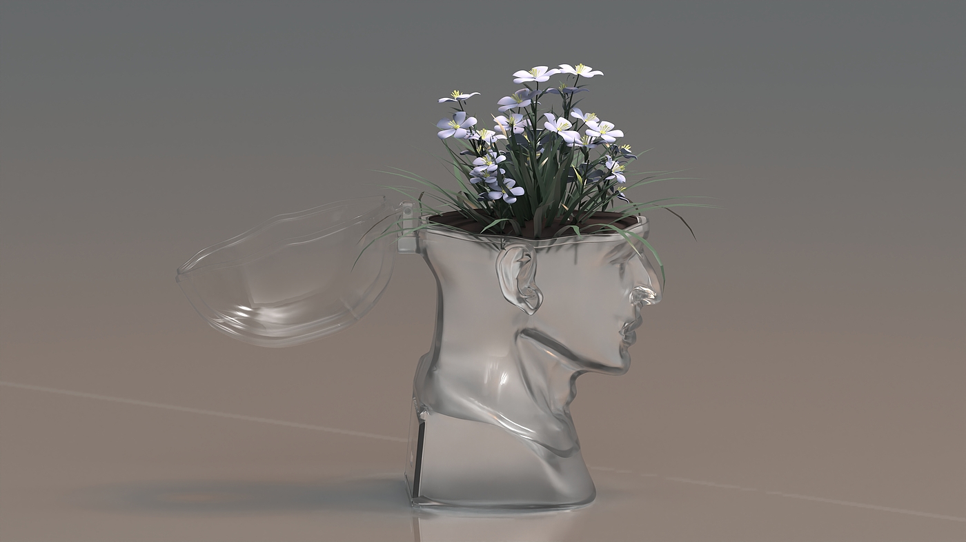 product design，Emotional design，Flowerpot，