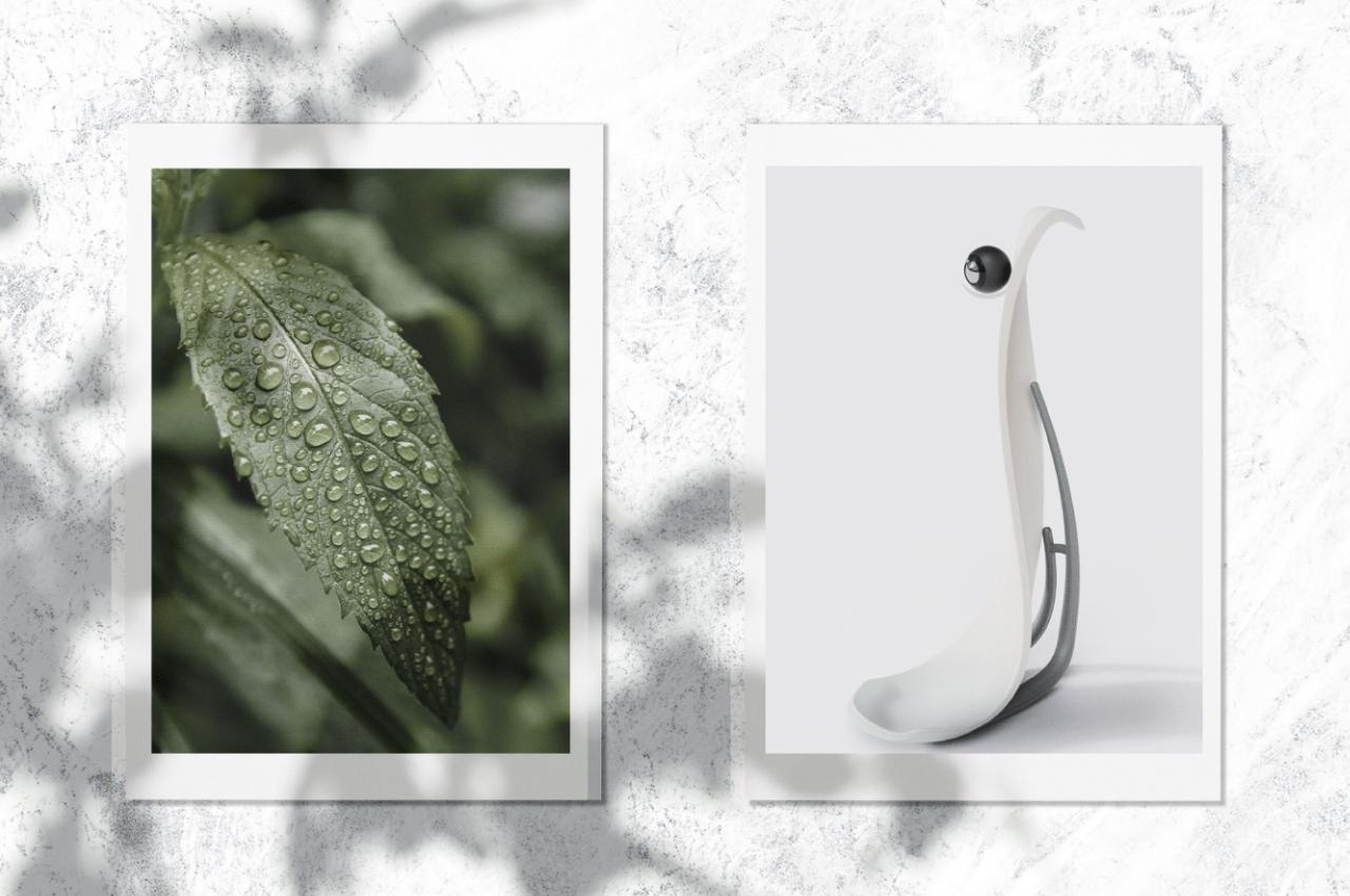 Botany，product design，monitor，