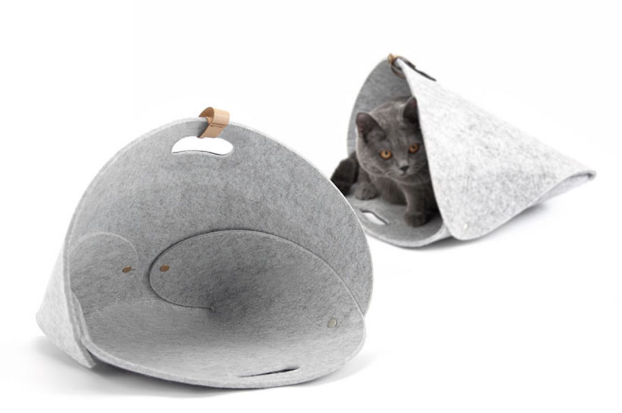 Pets，product，innovate，