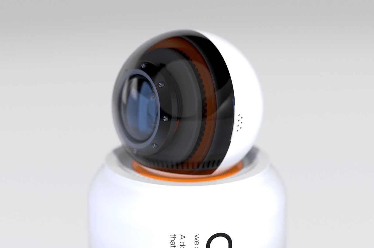 Pets，product，innovate，