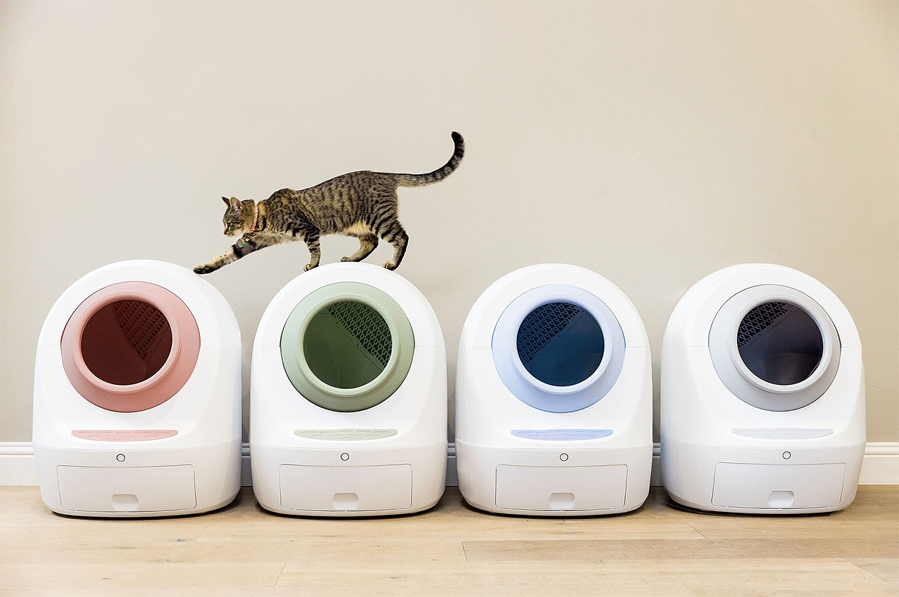 Pets，product，innovate，