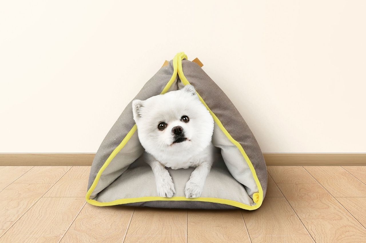 Pets，product，innovate，