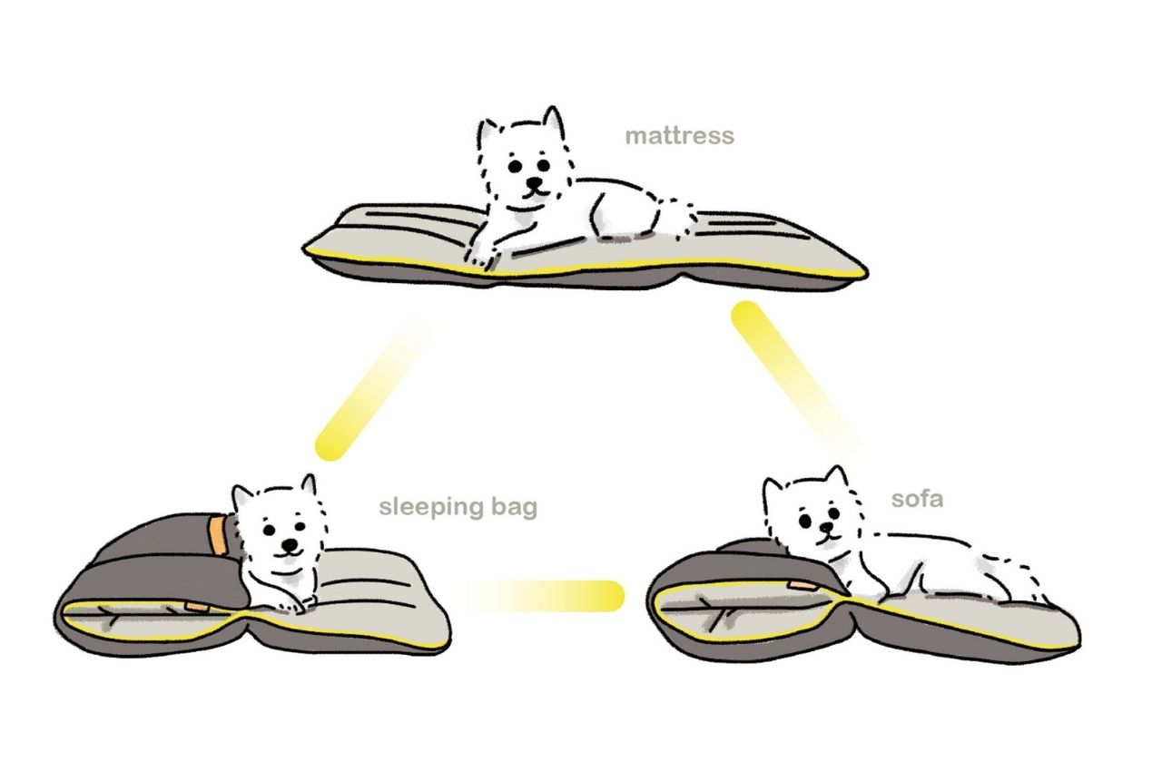 Pets，product，innovate，