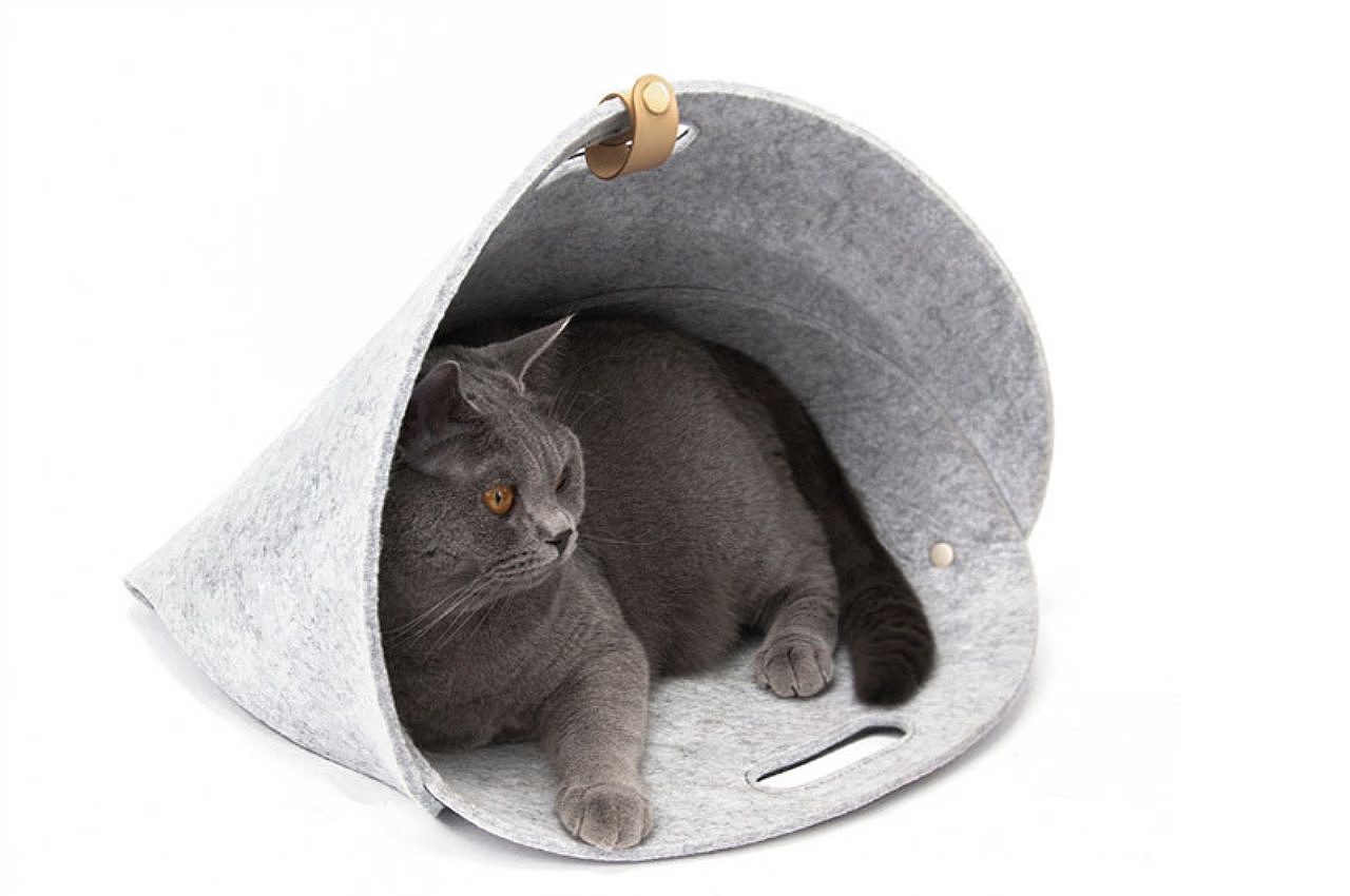 Pets，product，innovate，
