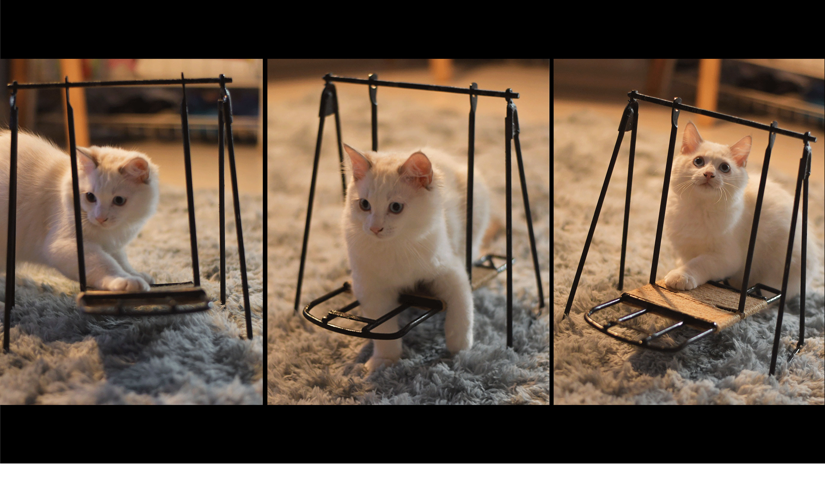 Bi Sheh，Kitty，diy，