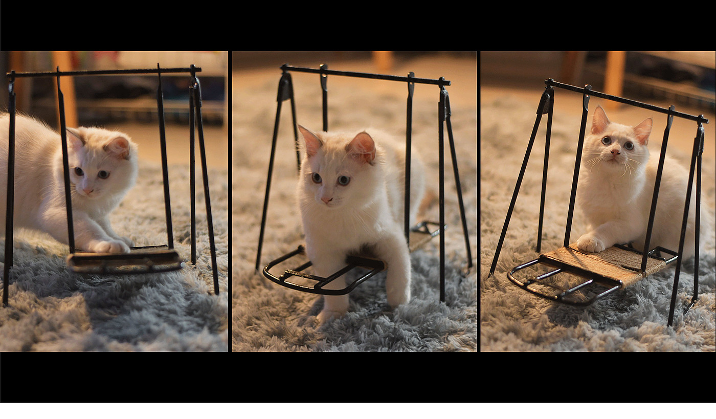 Bi Sheh，Kitty，diy，