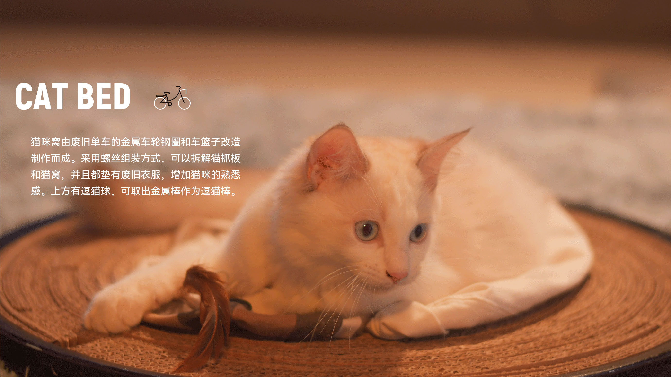 Bi Sheh，Kitty，diy，