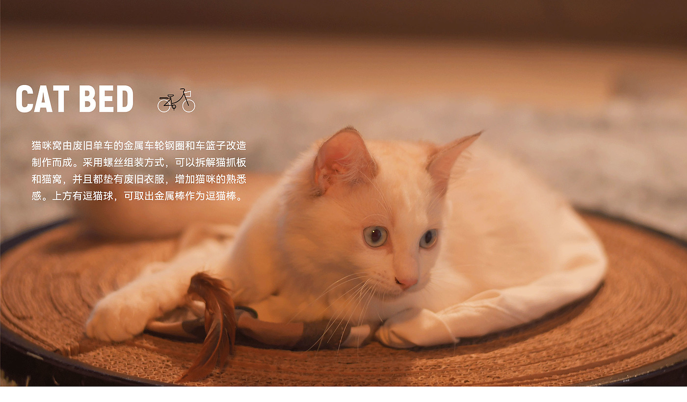 毕设，猫咪，diy，