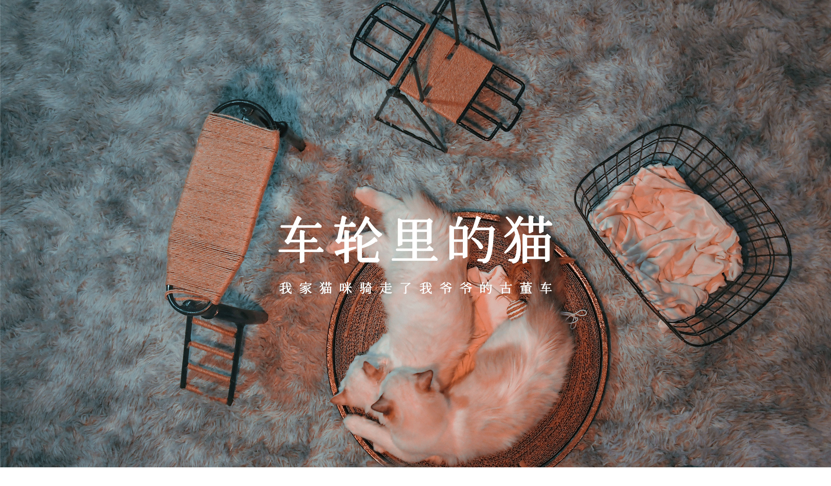 Bi Sheh，Kitty，diy，