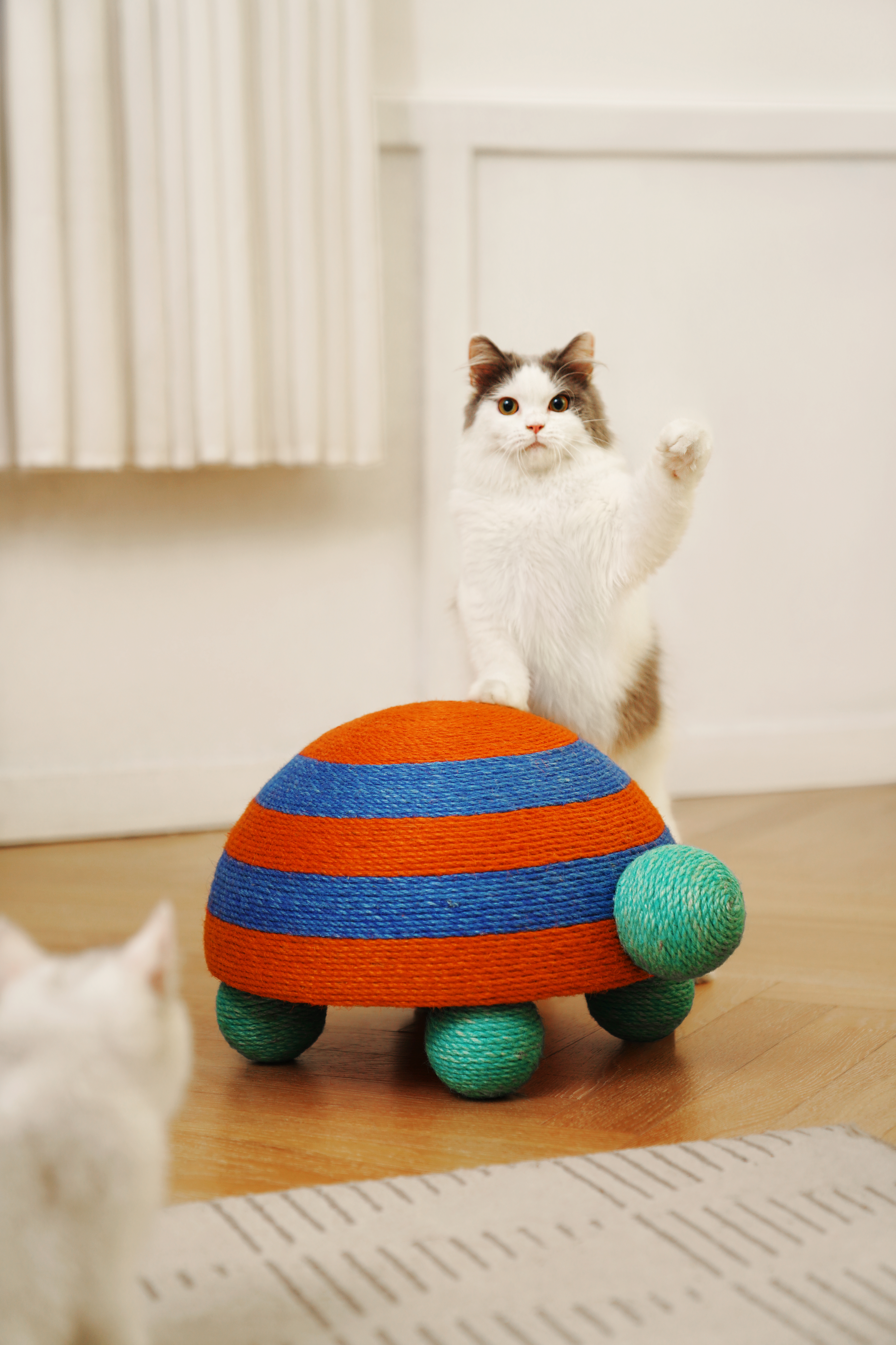 Product appearance design，Cat Scratch Rack，