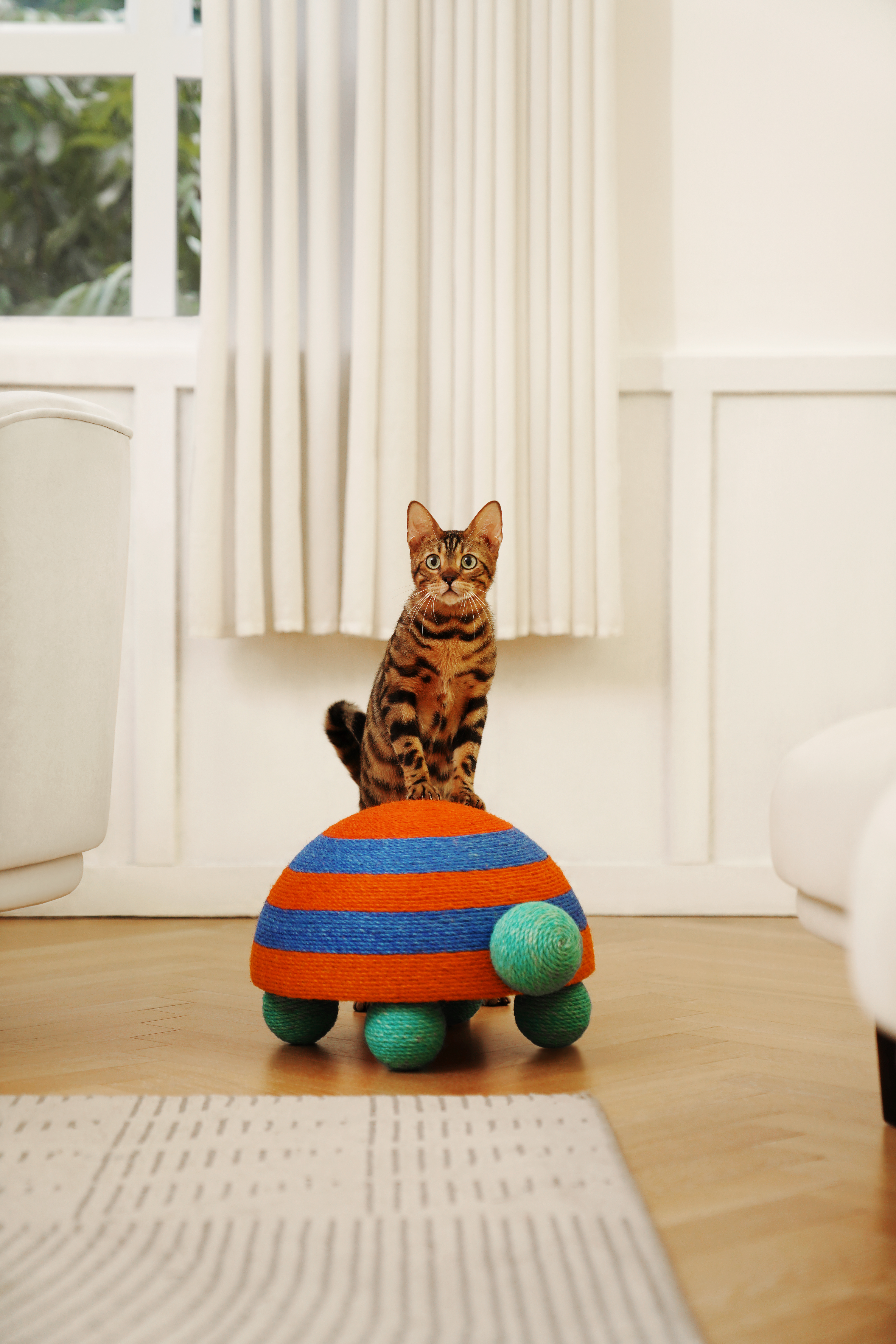 Product appearance design，Cat Scratch Rack，