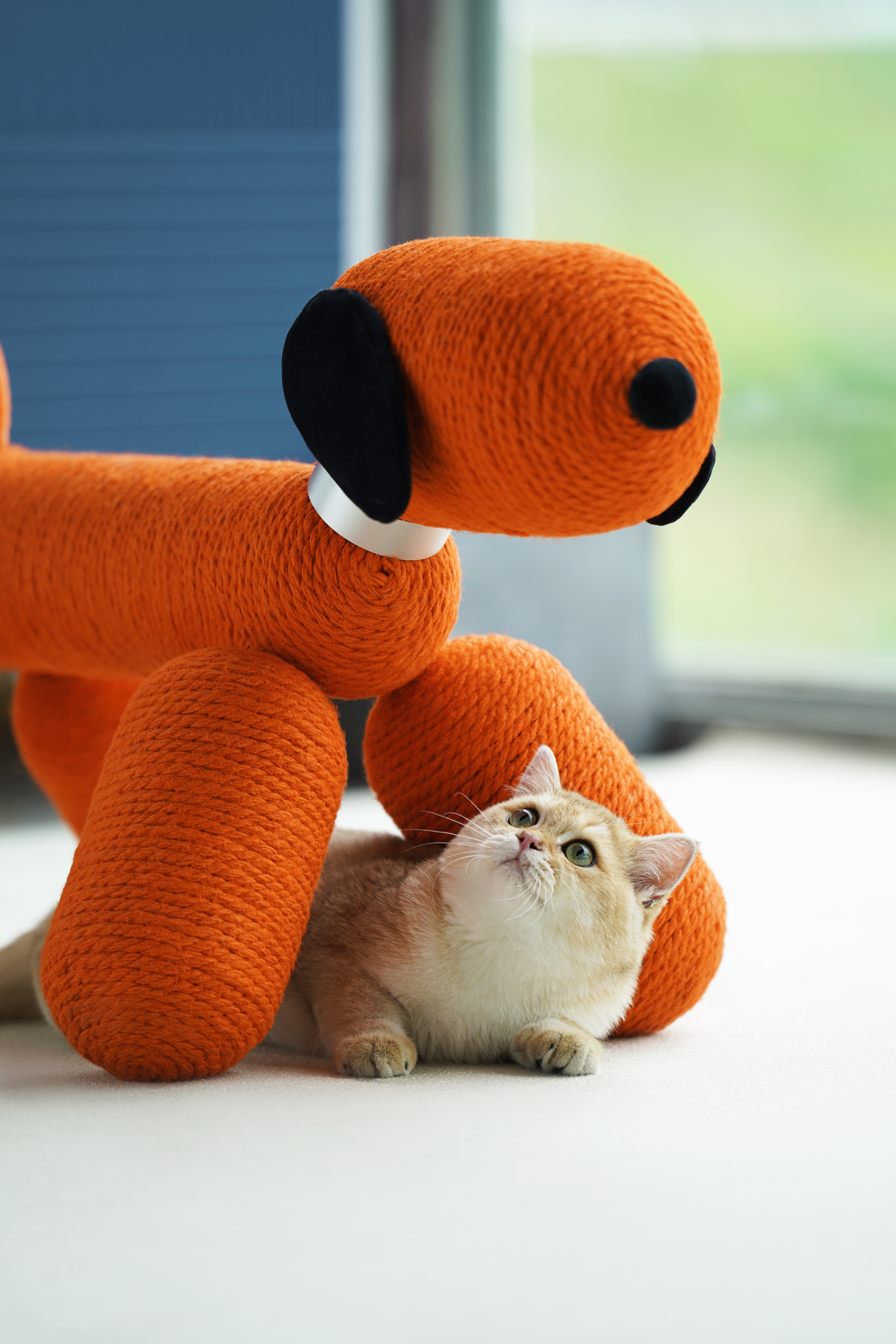 Product appearance design，Cat Scratch Rack，