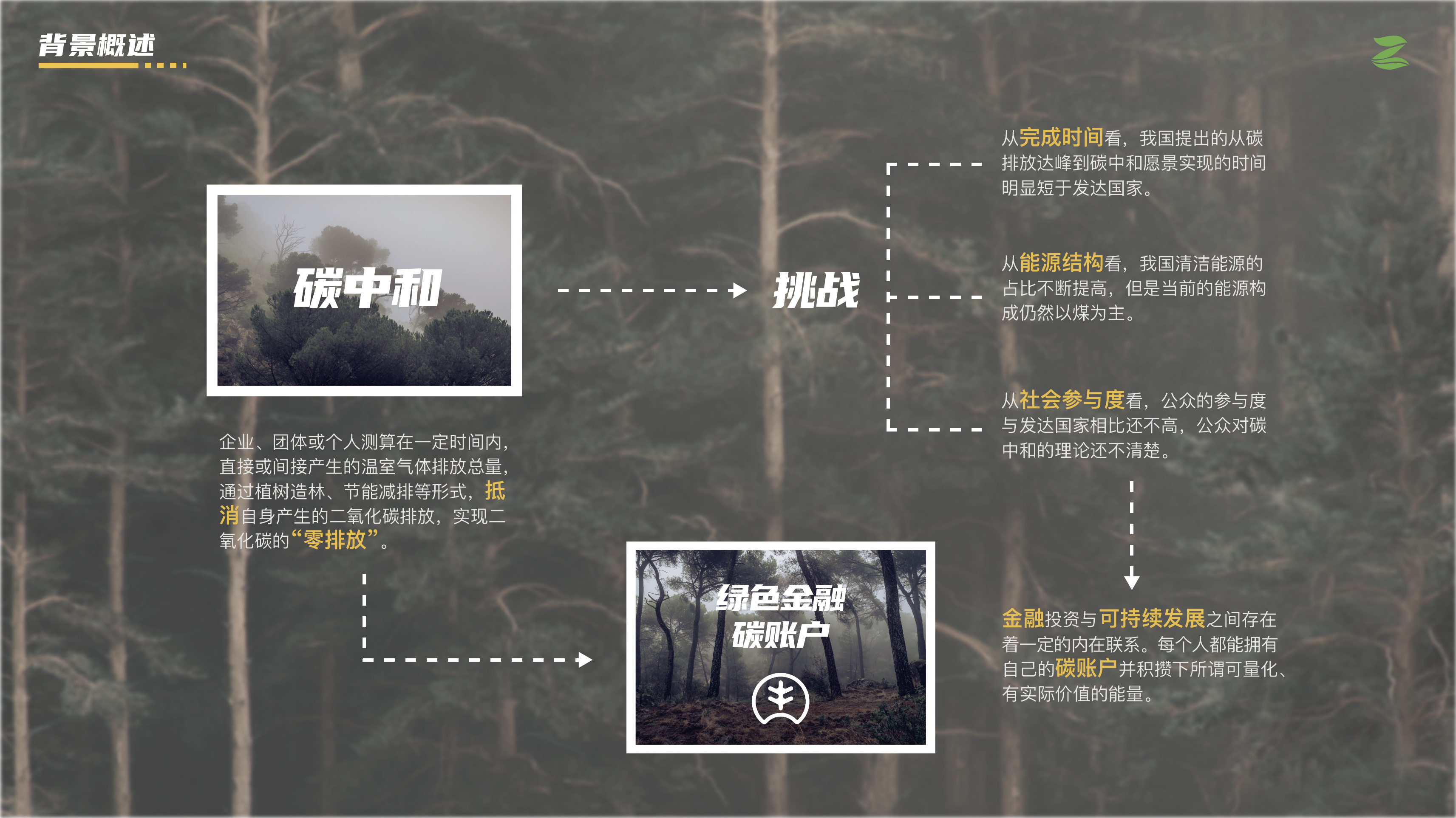 Financial Service System Design Interactive Design APP Design，