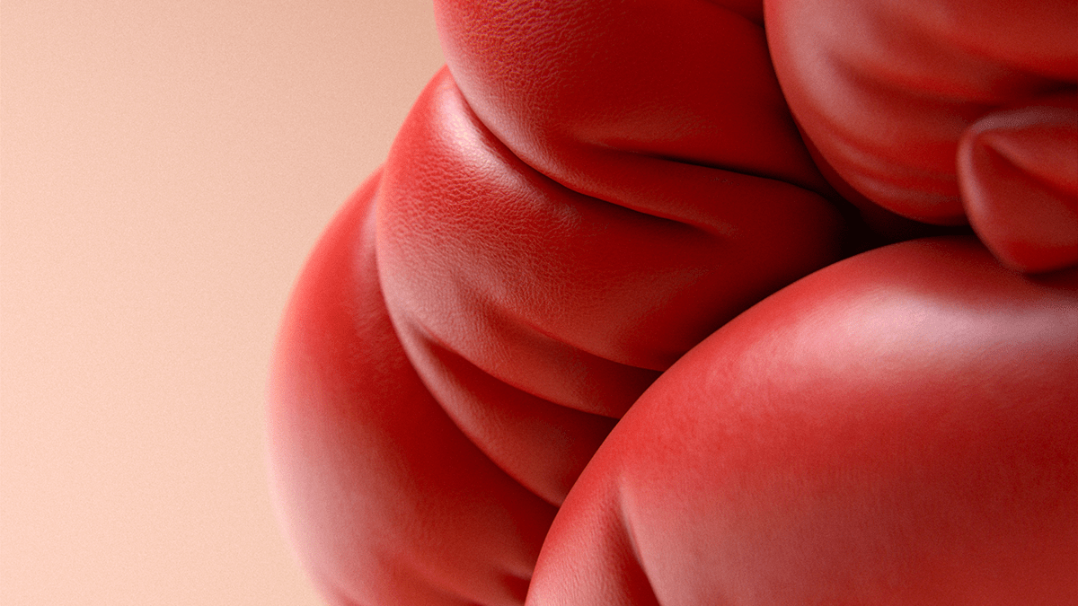 Mulberry，BBH，Tactile sensation，visual effect，