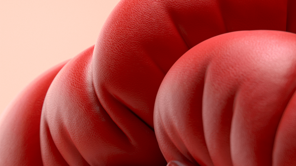 Mulberry，BBH，Tactile sensation，visual effect，