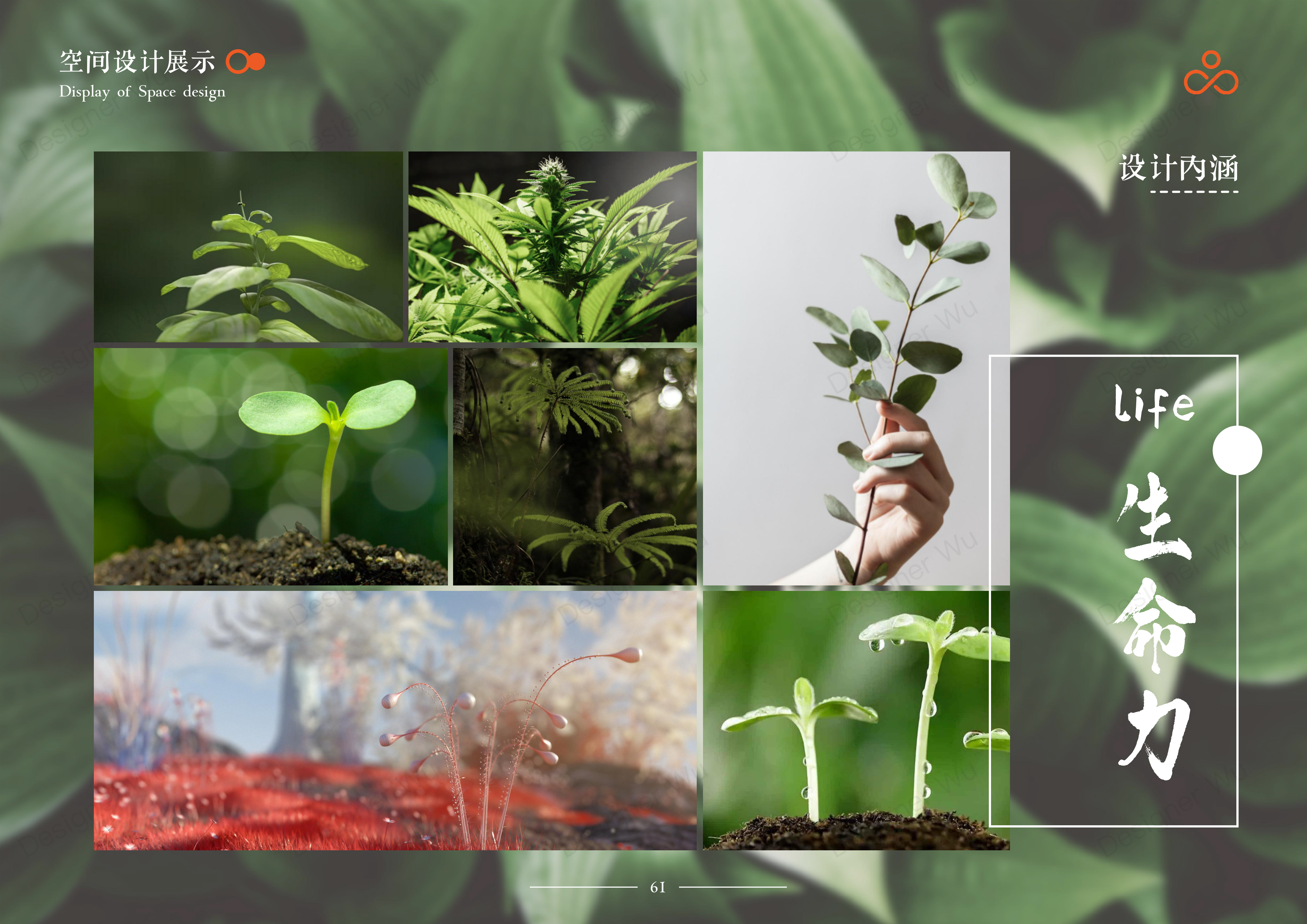 Service Design Experience Design Bank Financial Service Interaction，