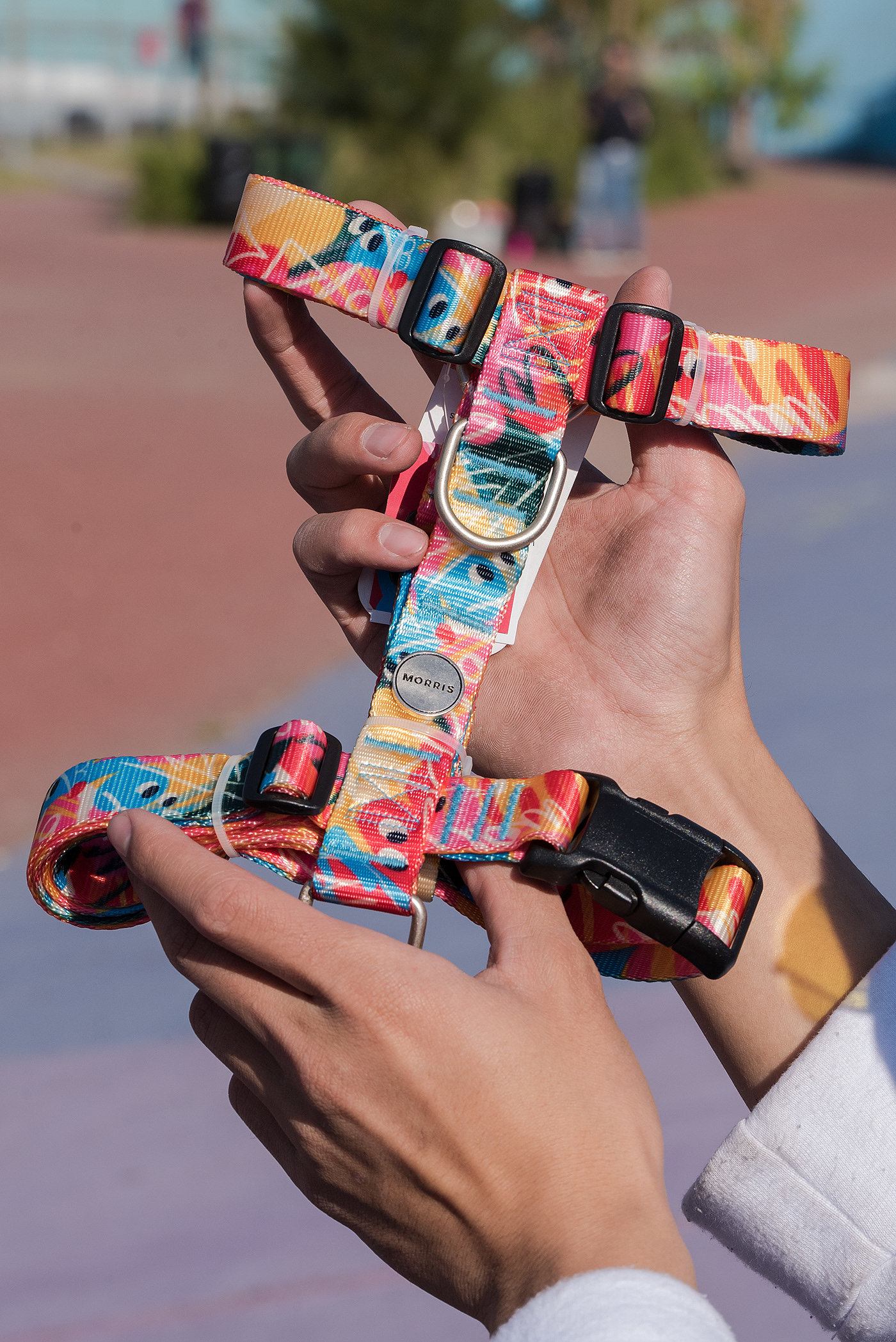 pattern design ，Dog pattern，product design，Walking the dog rope，