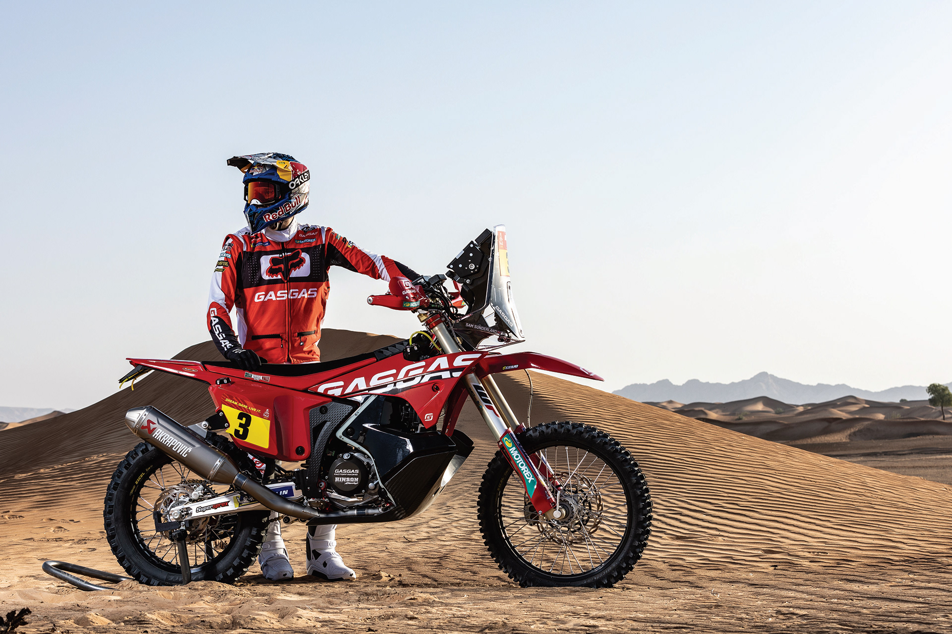 3d，dogcart，advertisement，