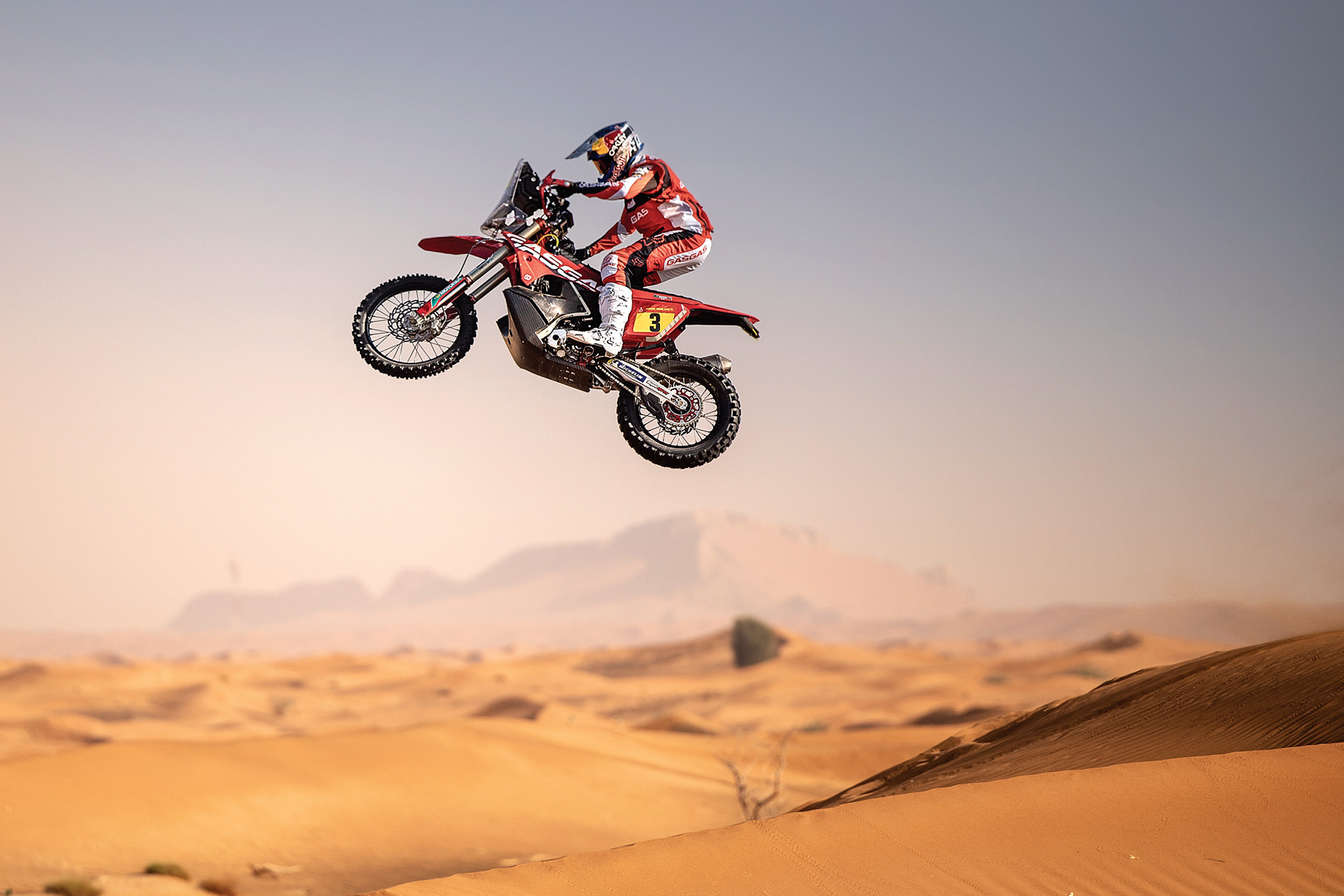 3d，dogcart，advertisement，