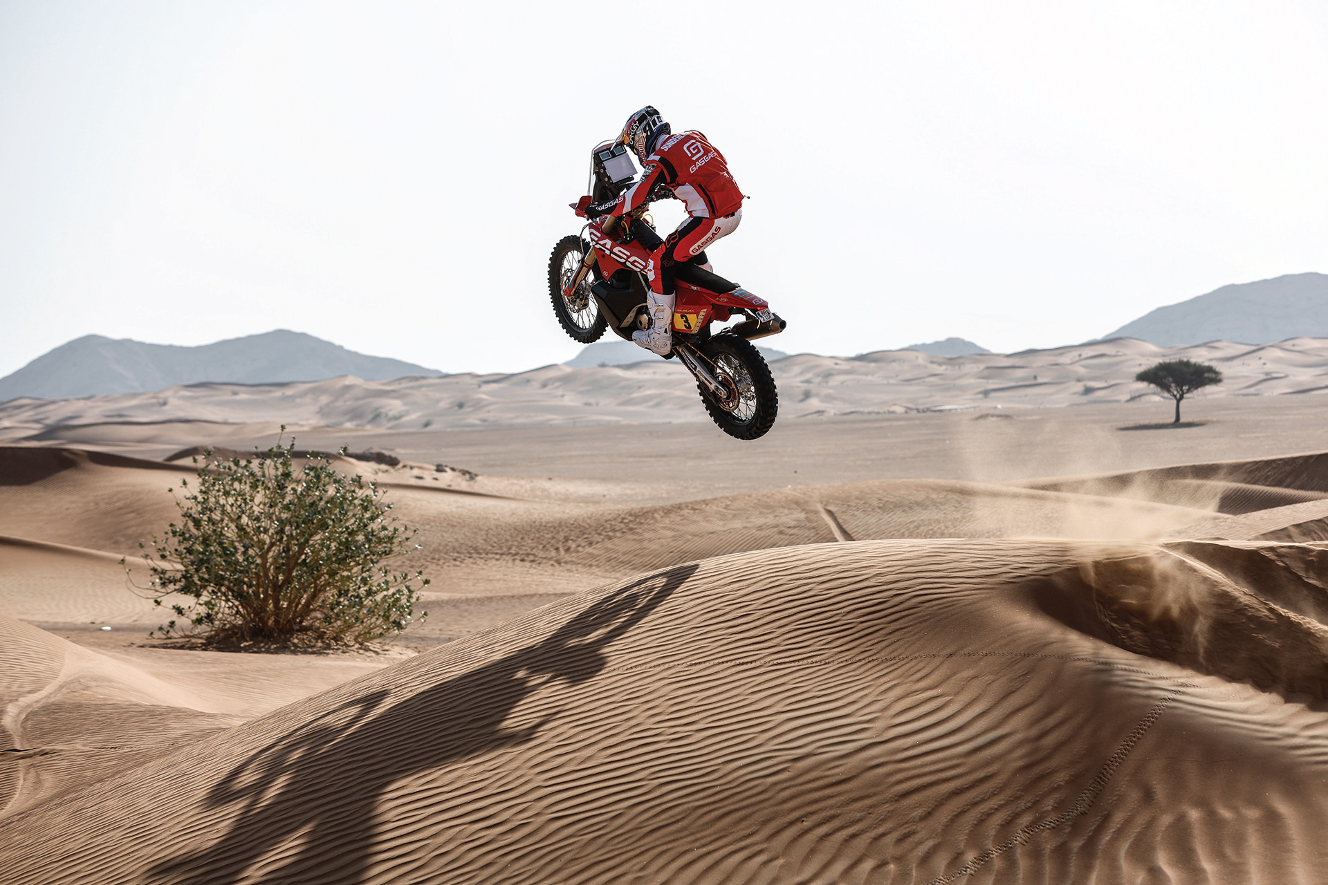 3d，dogcart，advertisement，